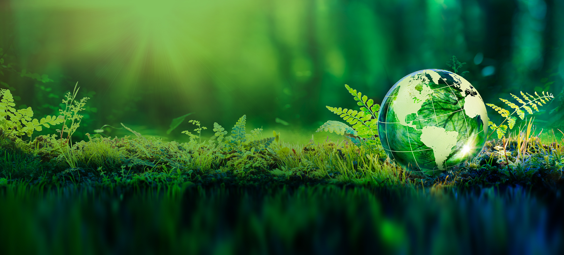 Working toward net zero carbon emissions by 2050